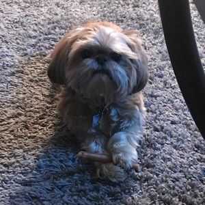 Meet your Posher, Bernice